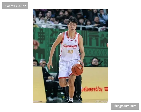 深圳对阵山西关键篮板 阿立兹约翰逊伤退王浩然补位